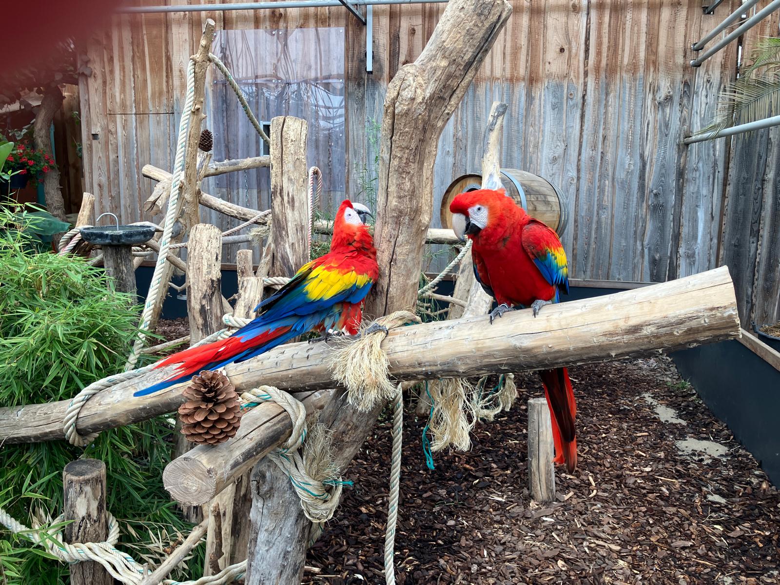 Foto 48 bij artikel "Uitje naar de Orchideenhoeve in Luttelgeest".